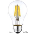 24 volt A60 6w E27 Filament lamp